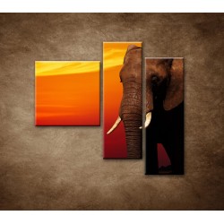 Obrazy na stenu - Afrika - 3dielny 110x90cm