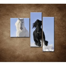 Obrazy na stenu - Párik koní - 3dielny 110x90cm