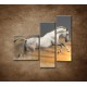 Obrazy na stenu - Kôň pri západe slnka - 3dielny 110x90cm