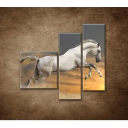 Obrazy na stenu - Kôň pri západe slnka - 3dielny 110x90cm