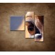 Obrazy na stenu - Koňské oko - detail - 3dielny 110x90cm