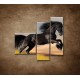 Obrazy na stenu - Skákajúci kôň - 3dielny 110x90cm