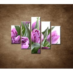 Obrazy na stenu - Nežné tulipány - 5dielny 100x80cm