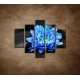 Obrazy na stenu - Modrý kvet na kameňoch - 5dielny 100x80cm