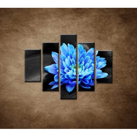 Obrazy na stenu - Modrý kvet na kameňoch - 5dielny 100x80cm