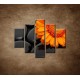 Obrazy na stenu - Oranžová gerbera na kameňoch - 5dielny 100x80cm