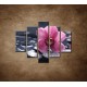 Obrazy na stenu - Ružová orchidea na kameni - 5dielny 100x80cm