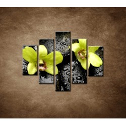 Obrazy na stenu - Kamene s kvapkami a orchideou - 5dielny 100x80cm
