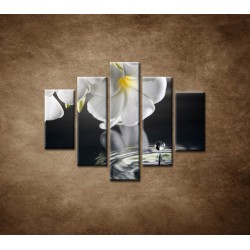 Obrazy na stenu - Biely kvet nad vodou - 5dielny 100x80cm