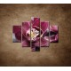 Obrazy na stenu - Orchidea na kameni - 5dielny 100x80cm