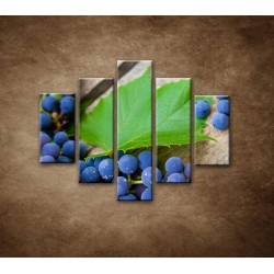 Obrazy na stenu - Modré hrozno - 5dielny 100x80cm