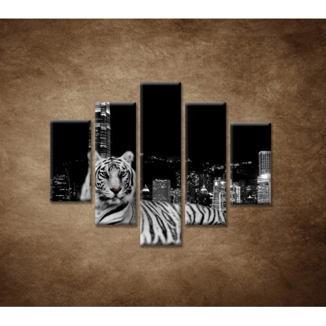 Obrazy na stenu - Mestský tiger - 5dielny 100x80cm