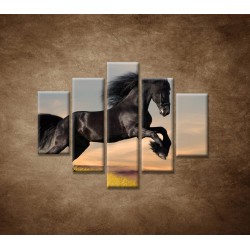 Obrazy na stenu - Skákajúci kôň - 5dielny 100x80cm