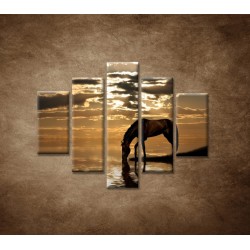 Obrazy na stenu - Kôň pri jazere - 5dielny 100x80cm