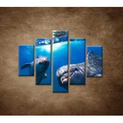 Obrazy na stenu - Delfíni pod vodou - 5dielny 100x80cm