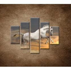 Obrazy na stenu - Kôň pri západe slnka - 5dielny 100x80cm