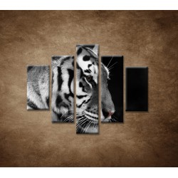 Obrazy na stenu - Tiger - detail - 5dielny 100x80cm