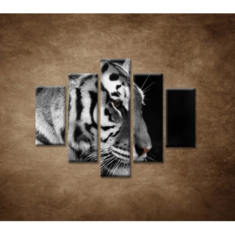 Obrazy na stenu - Tiger - detail - 5dielny 100x80cm