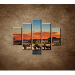 Obrazy na stenu - Safari - 5dielny 100x80cm