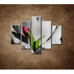 Obrazy na stenu - Dievča s tulipánom - 5dielny 100x80cm