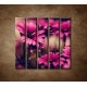 Obrazy na stenu - Ružové gerbery - 5dielny 100x100cm