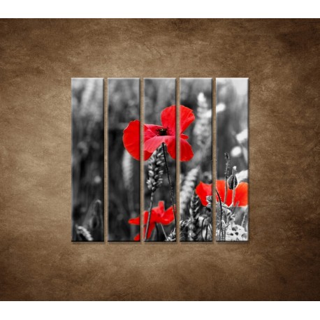 Obrazy na stenu - Červené vlčie maky - 5dielny 100x100cm