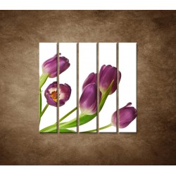 Obrazy na stenu - Fialové tulipány - 5dielny 100x100cm