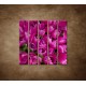 Obrazy na stenu - Krásne tulipány - 5dielny 100x100cm