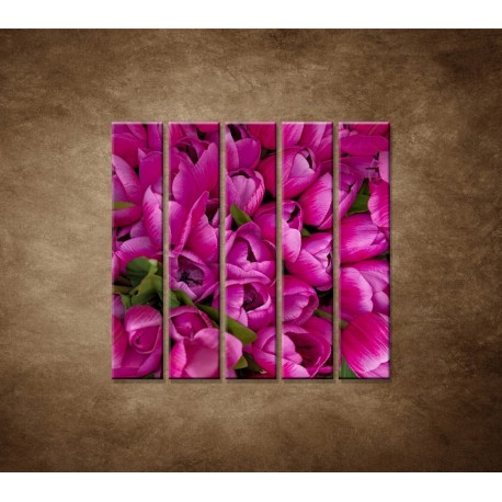 Obrazy na stenu - Krásne tulipány - 5dielny 100x100cm