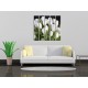 Obrazy na stenu - Biele tulipány - 5dielny 100x100cm