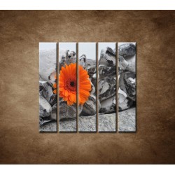 Obrazy na stenu - Oranžová gerbera a kamene - 5dielny 100x100cm