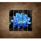 Obrazy na stenu - Modrý kvet na kameňoch - 5dielny 100x100cm