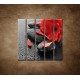 Obrazy na stenu - Červená gerbera a kamene - 5dielny 100x100cm