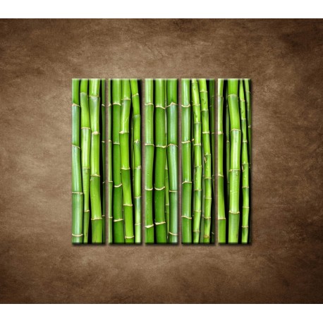 Obrazy na stenu - Bambus - 5dielny 100x100cm