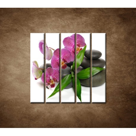 Obrazy na stenu - Orchidea na kameňoch - 5dielny 100x100cm