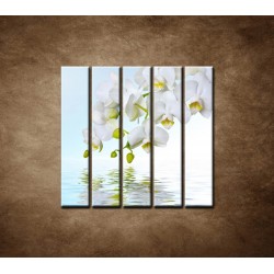 Obrazy na stenu - Biela orchidea nad hladinou - 5dielny 100x100cm