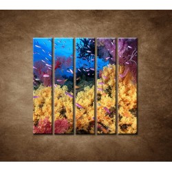 Obrazy na stenu - Korálový útes - 5dielny 100x100cm