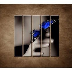 Obrazy na stenu - Modrý motýľ - 5dielny 100x100cm