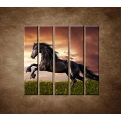 Obrazy na stenu - Čierny koň - 5dielny 100x100cm