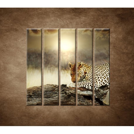 Obrazy na stenu - Odpočívajúci leopard - 5dielny 100x100cm