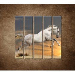Obrazy na stenu - Kôň pri západe slnka - 5dielny 100x100cm