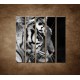 Obrazy na stenu - Tiger - detail - 5dielny 100x100cm