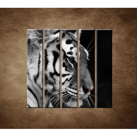 Obrazy na stenu - Tiger - detail - 5dielny 100x100cm