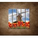 Obrazy na stenu - Mlyn s tulipánmi - 5dielny 100x100cm