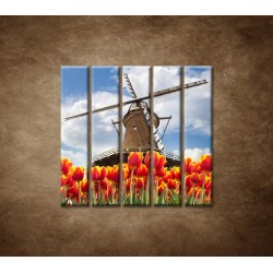 Obrazy na stenu - Mlyn s tulipánmi - 5dielny 100x100cm