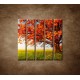 Obrazy na stenu - Jesenný dub - 5dielny 100x100cm