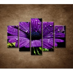 Obrazy na stenu - Fialový kvet - 5dielny 150x100cm
