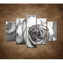 Obrazy na stenu - Ruža - 5dielny 150x100cm
