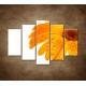 Obrazy na stenu - Oranžová gerbera - 5dielny 150x100cm