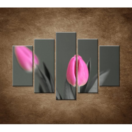 Obrazy na stenu - Ružové tulipány - 5dielny 150x100cm